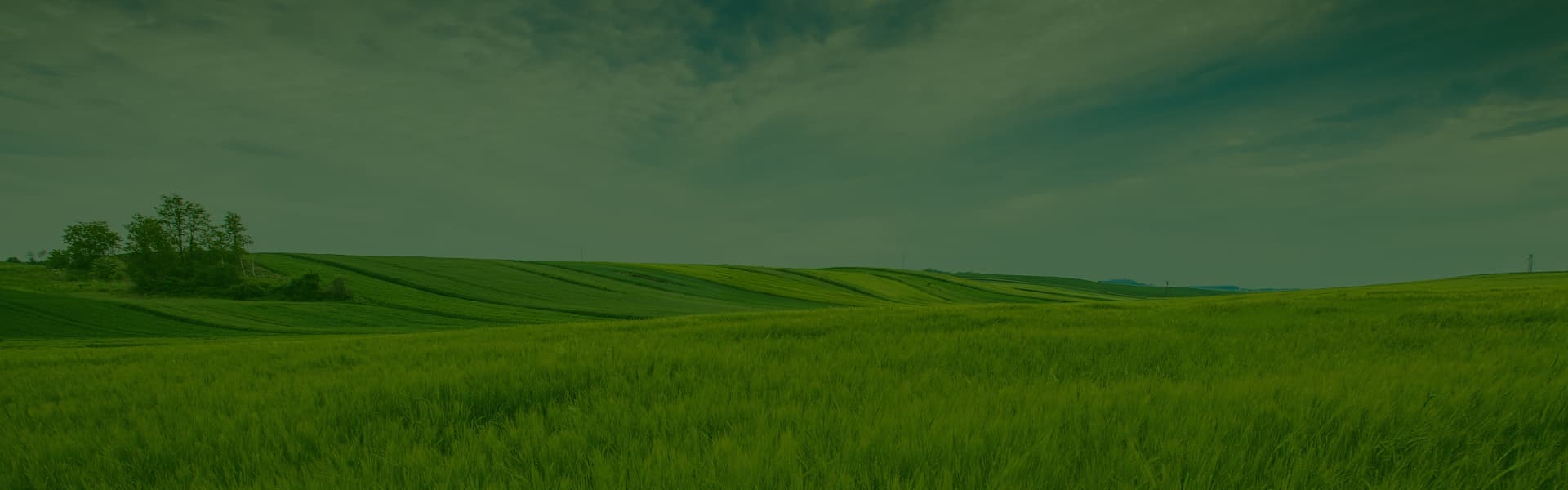 Footer background